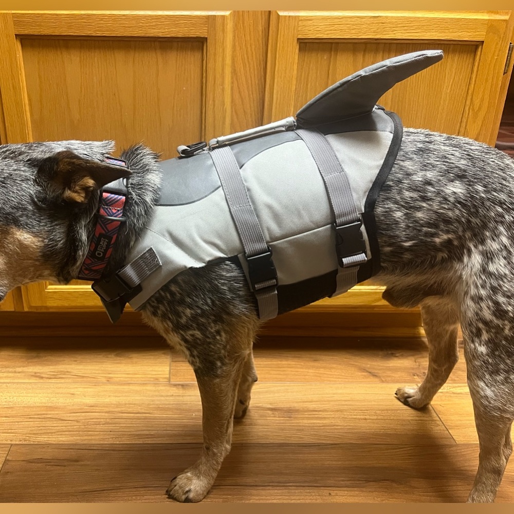 Shark life jacket